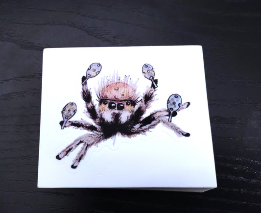 Cha Cha Spider Sticker