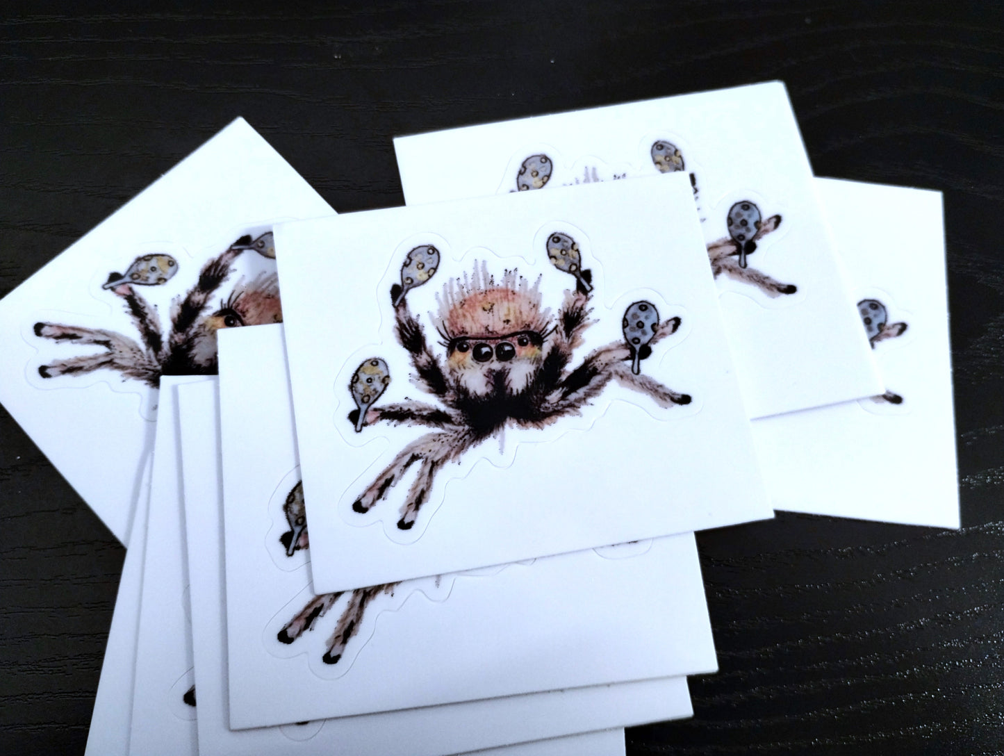 Cha Cha Spider Sticker