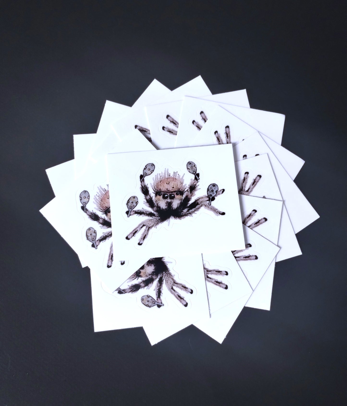 Cha Cha Spider Sticker