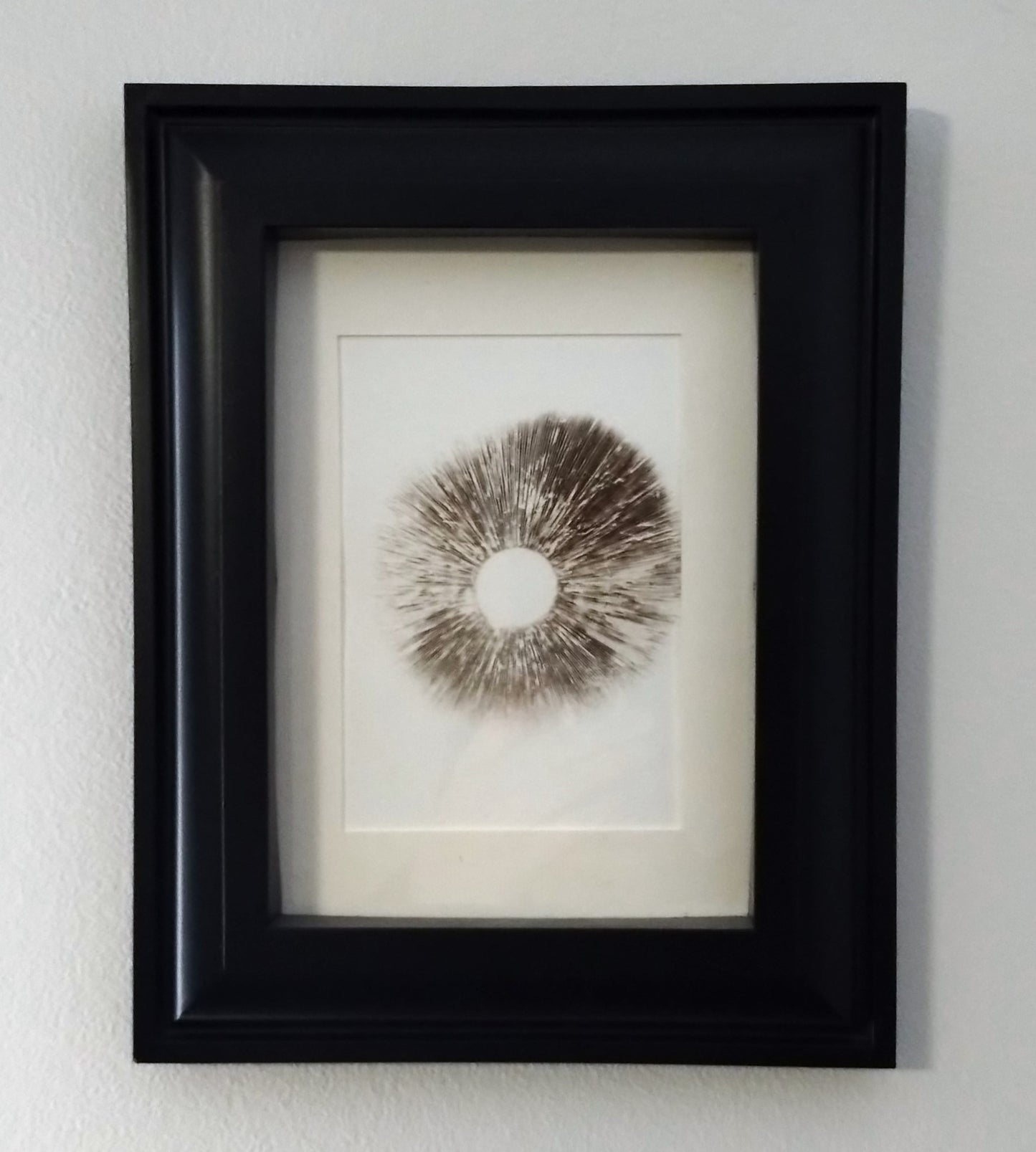 Framed Mushroom Spore Print -ONE