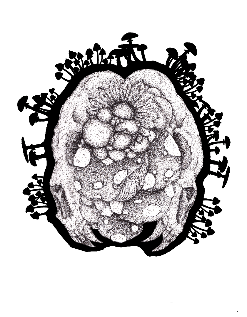 Bear Skulls With Mushrooms - Art Print 8.5 x 11