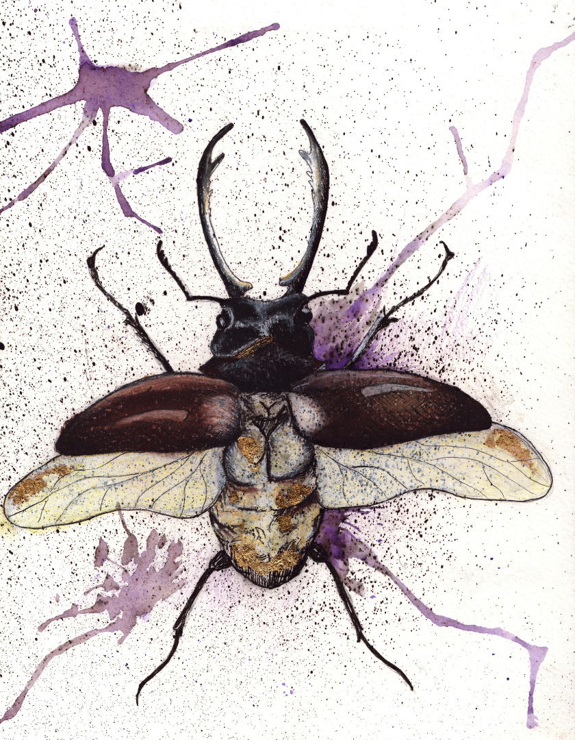 Beetle Splatter Art Print