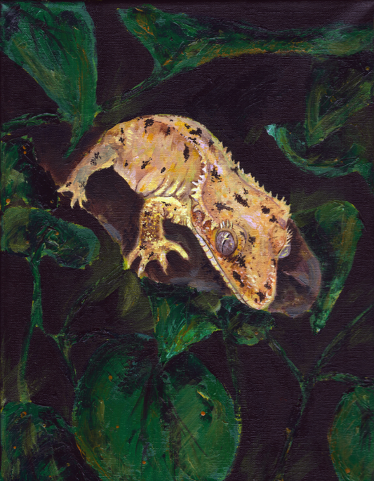 Crested Gecko -Art Print