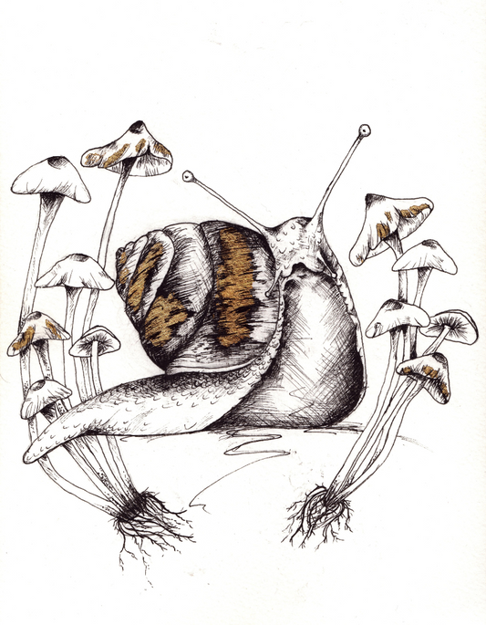 Snail and Mushrooms- Art Print