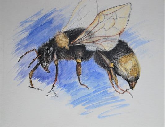 Whimsical Bee - Original Unframed